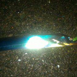 ワインドで太刀魚